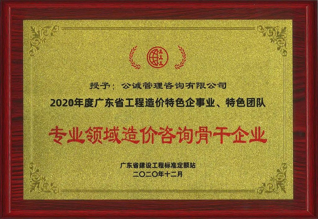 专业领域造价咨询骨干企业