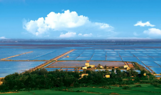 海南天能莺歌海盐场100MW平价光伏项目EPC总承包