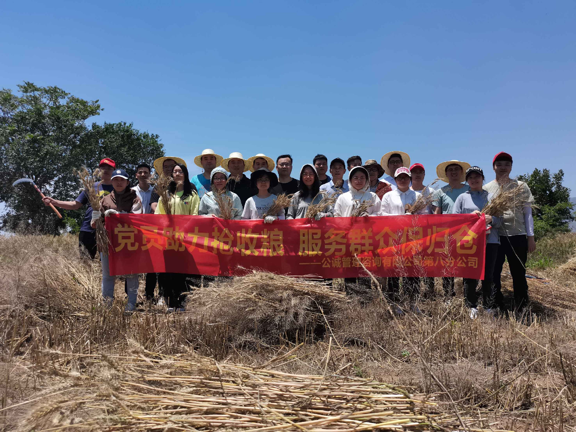 图4：抢收小麦合影.jpg