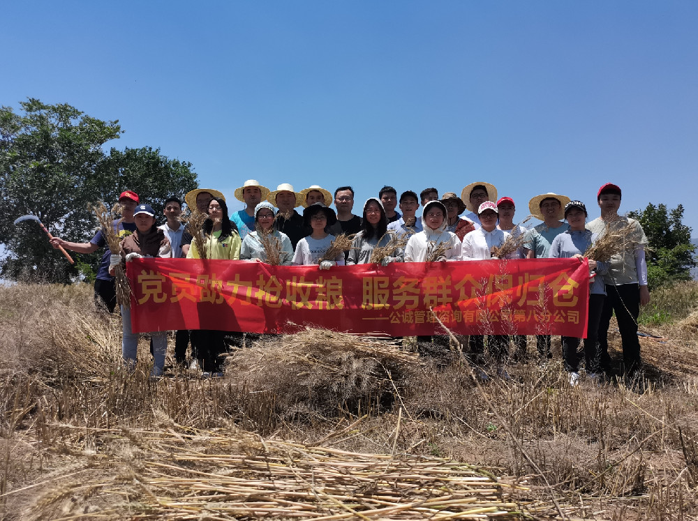 党员助力抢收粮，服务群众保归仓——公诚咨询公司号召党员为群众办实事，助力陕西桥陵镇农户“夏粮”抢收